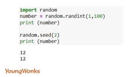 what is the random integer function in python