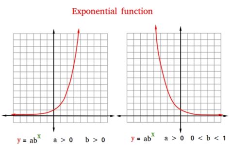 What Is The Range Of The Exponential Function Y=B^x