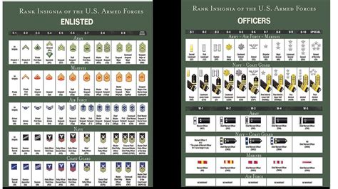 What Is The Rank Structure Of The Army
