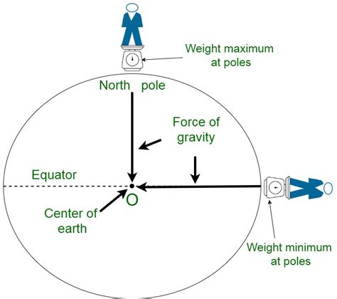 What Is The Relation Between Weight And Acceleration Due To Gravity