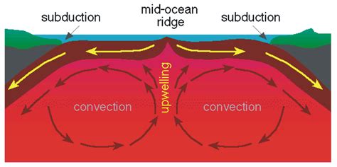 what is the relationship between convection currents and plate tectonics