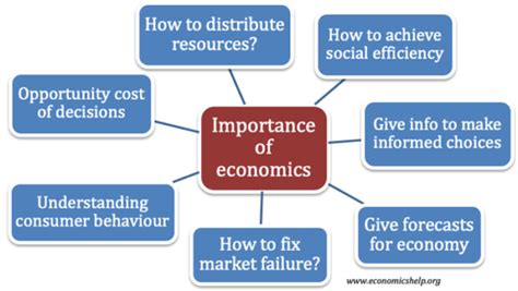 what is the role of economics