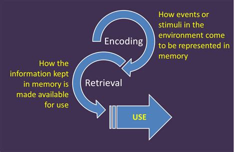 what is the role of encoding in the memory process