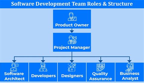 what is the role of system analyst in software engineering