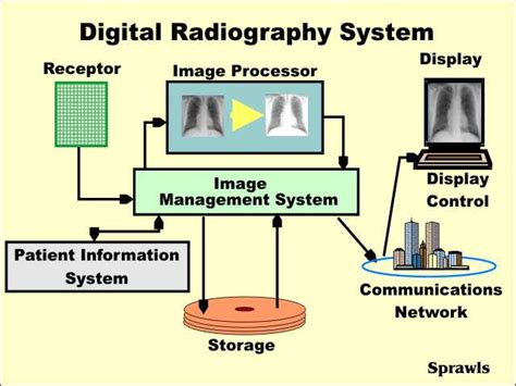what is the role of the image processing software in a digital radiography system