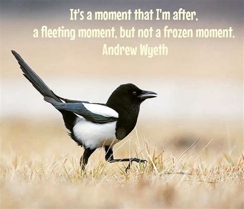 what is the saying about magpies