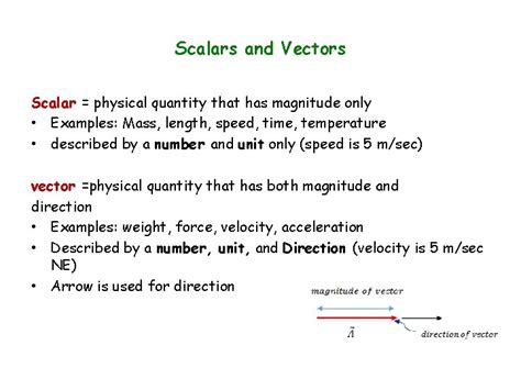 what is the scalar quantity of velocity