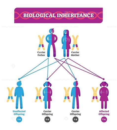 what is the scientific study of biological inheritance called