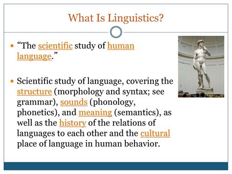 what is the scientific study of language and its structure called