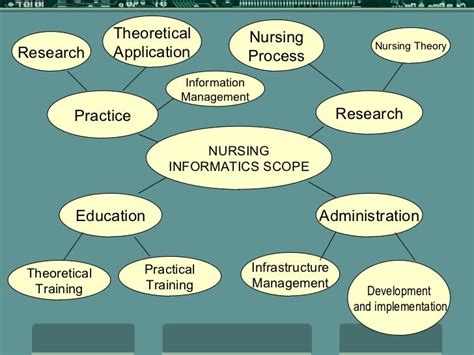 what is the scope of informatics practices