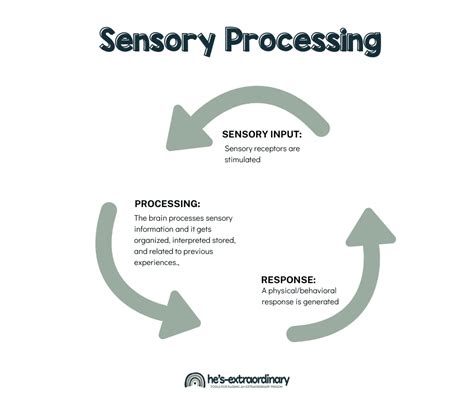 What Is The Sensory Process