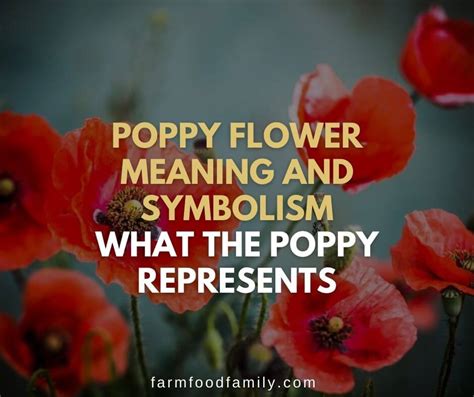 what is the significance of poppies