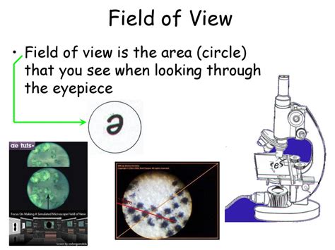 What Is The Smallest Field Of View In A Microscope