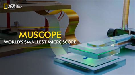 What Is The Smallest Microscopic Object