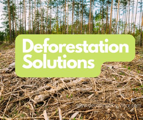 what is the solution for deforestation