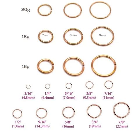 30+ Top For Horseshoe Septum Piercing Size Chart Beads by Laura