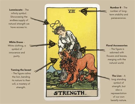 what is the strength card in tarot