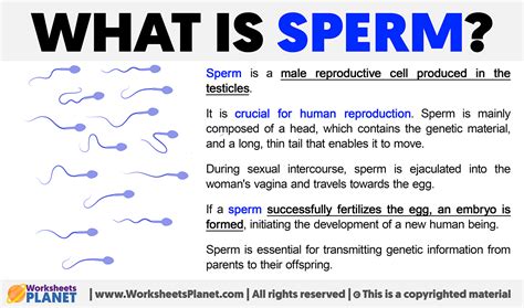 what is the strongest sperm