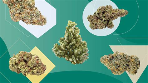 what is the strongest type of thc