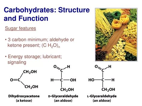 What Is The Structure And Function Of Carbohydrates