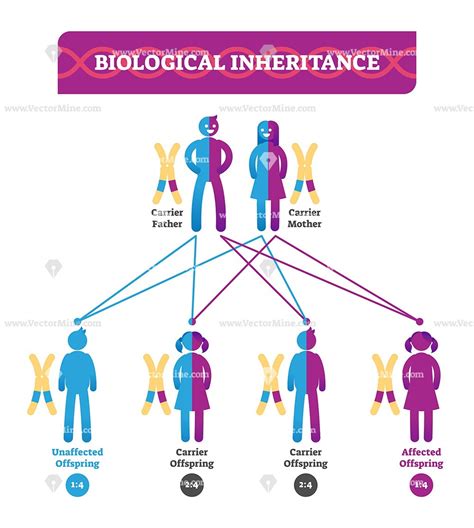 what is the study of biological inheritance
