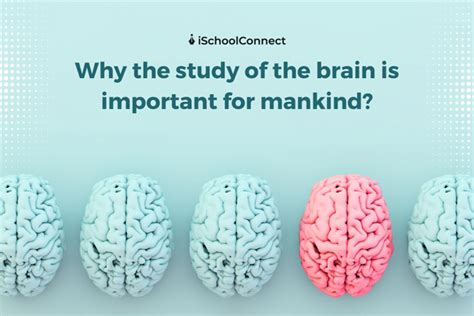 what is the study of brain activity called