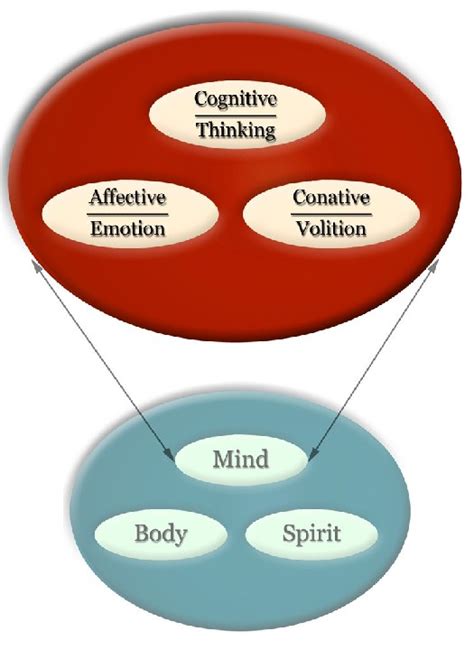 what is the study of the human mind and behaviour called