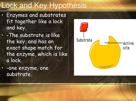 What Is The Substrate In The Lock And Key Hypothesis