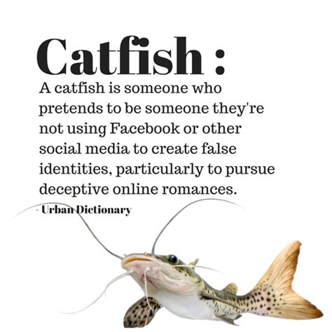 what is the term catfished mean