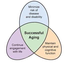 what is the theory of successful aging