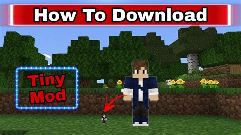 What Is The Tiny Mod In Minecraft Called