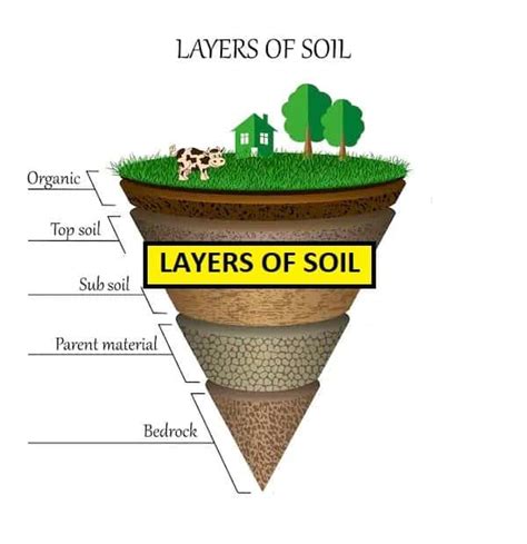 what is the topsoil