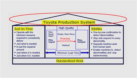 what is the tps program