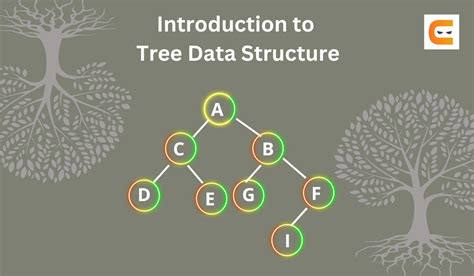 what is the tree data structure