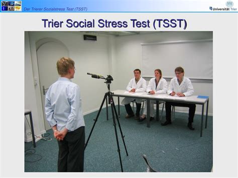 what is the trier social stress test