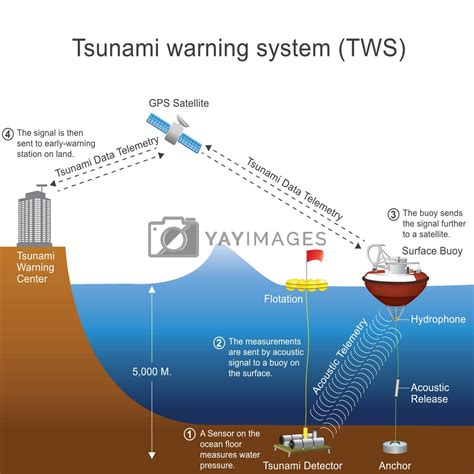 what is the tsunami warning system