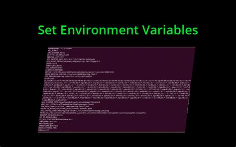what is the use of environment variables in linux