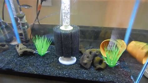 what is the use of filter in aquarium