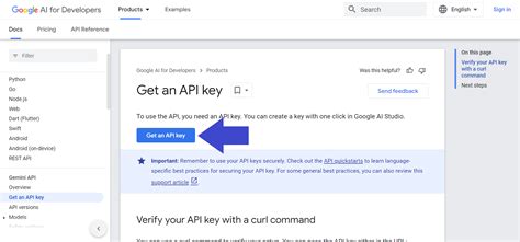 what is the use of gemini api key