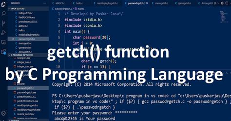 what is the use of getch() in c