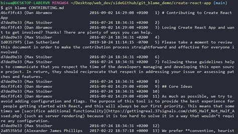 what is the use of git blame command