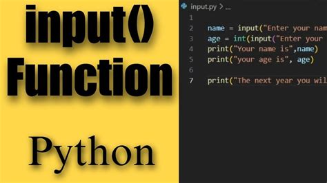 what is the use of input function
