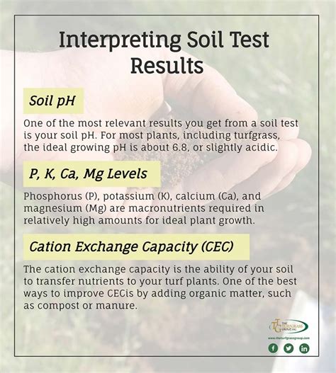what is the use of soil testing