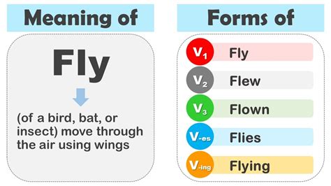 what is the v1 v2 v3 v4 v5 form of fly