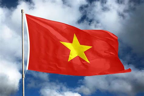 what is the vietnamese flag