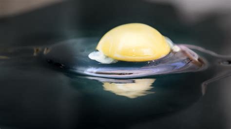 What Is The White String In Eggs