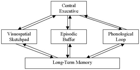 what is the working memory model