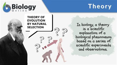 what is theory simple explanation