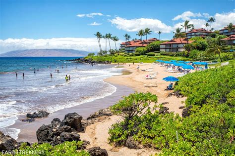 what is there to do in maui now
