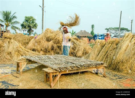 What Is Threshing Method